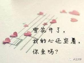 娱乐吃瓜酱伤感语录短句