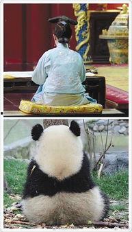 娱乐圈吃瓜群众的句子